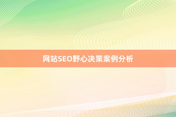 网站SEO野心决策案例分析